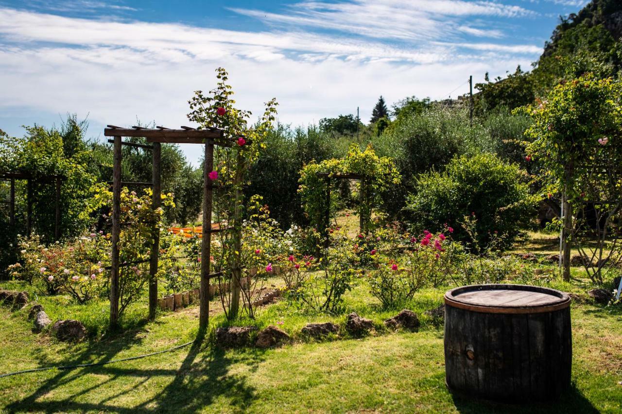 Orvieto Rocca Fiorita Hotel Екстериор снимка