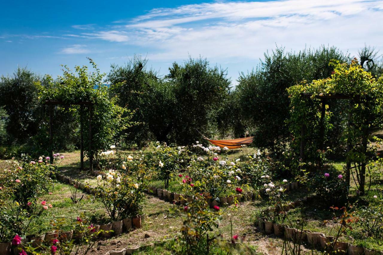 Orvieto Rocca Fiorita Hotel Екстериор снимка